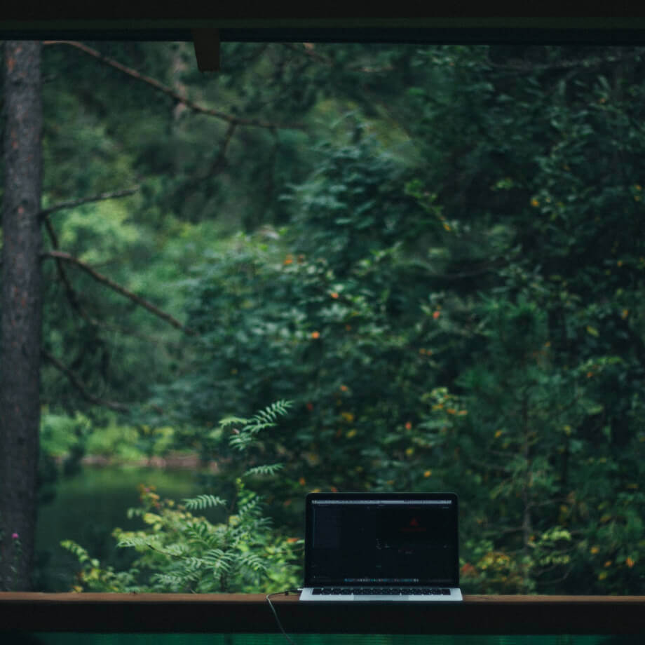 Фотография ноутбука на фоне Алтайского леса