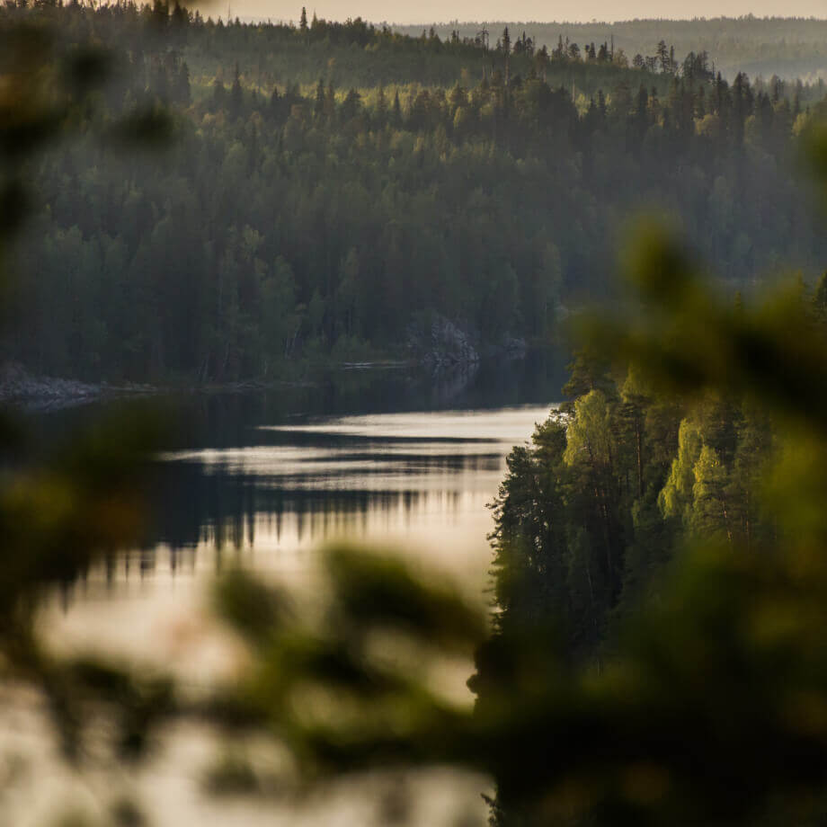 Фотография реки на фоне леса Карелии